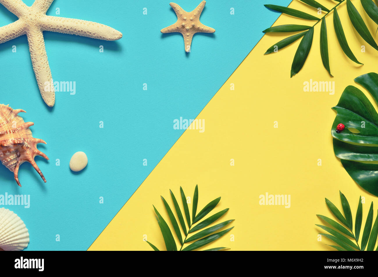 Tropischen Hintergrund. Palmen Filialen mit Seesternen und seashell auf gelbem und blauem Hintergrund. Reisen. Platz kopieren Stockfoto