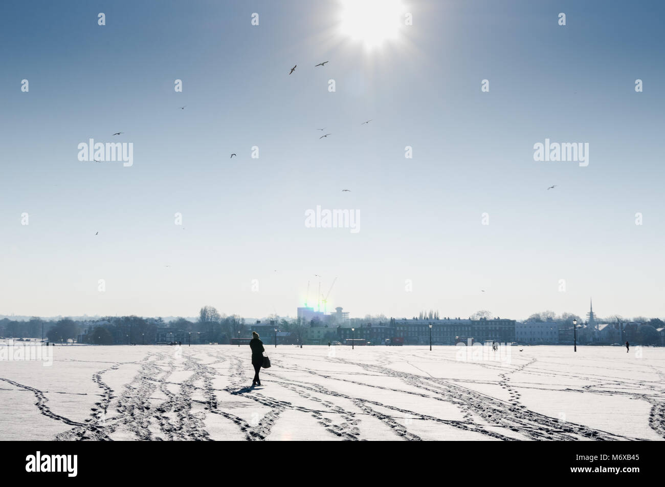 Eine Frau Umfragen die verschneite Landschaft in der Blackheath in Greenwich und Lewisham London boroughs unter einem klaren blauen und sonnigen Himmel, England. Stockfoto