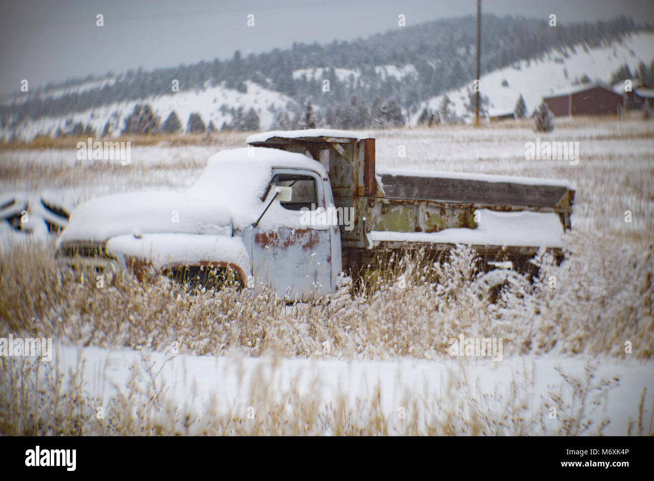 1953 Ford Dump Truck, in einem Feld mit Schnee bedeckt, in Philipsburg, Montana Stockfoto