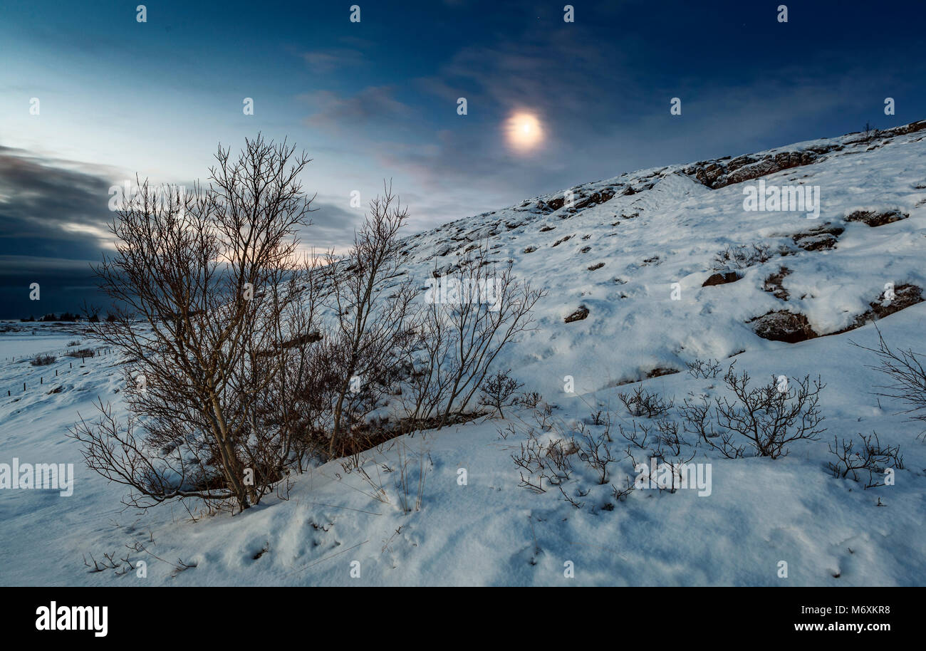 Winter Mondschein, den Nationalpark Thingvellir, Island. Unesco-Weltkulturerbe. Stockfoto