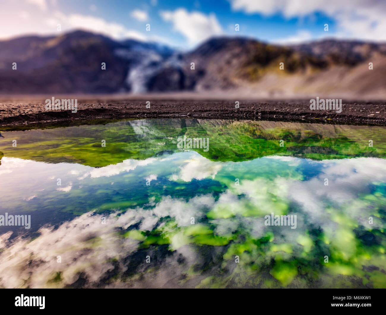 Algen in einem kleinen Teich, Gigjokull Gletscher im Hintergrund