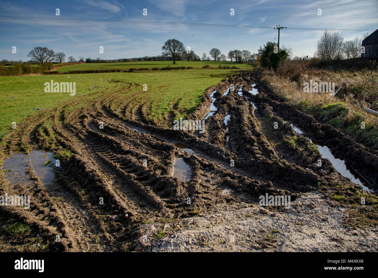 Schlammigen Spuren in einem Feld, Hanbury, Tutbury, Burton-on-Trent, Staffordshire. Stockfoto
