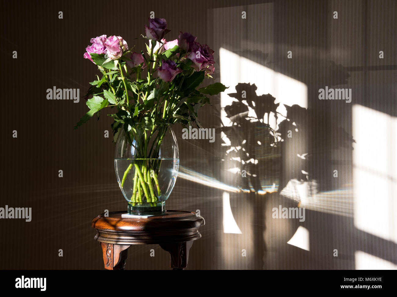 Eine Vase mit Rosen in der Nähe eines Fensters mit Schatten, Hanbury, Tutbury, Burton upon Trent, Staffordshire. Großbritannien Stockfoto