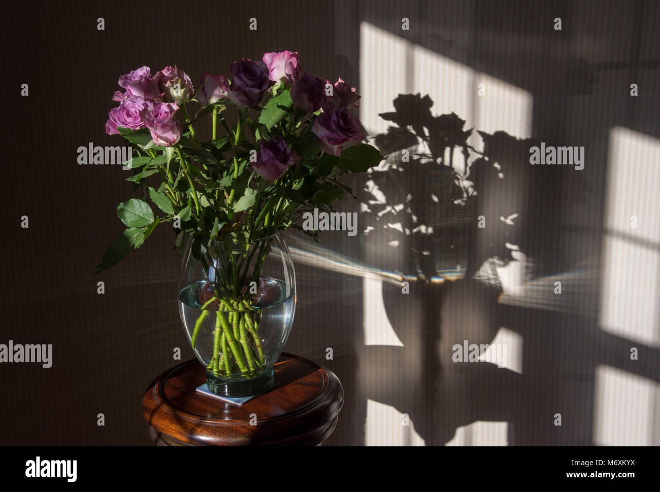 Eine Vase mit Rosen in der Nähe eines Fensters mit Schatten, Hanbury, Tutbury, Burton upon Trent, Staffordshire. Großbritannien Stockfoto