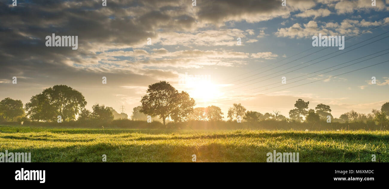 Sunrise glänzt durch die Hecken und Bäume im Süden Lincolnshire, in der Nähe der antiken Stadt Stamford. Strom Leitungen und Masten in der Ferne. Stockfoto
