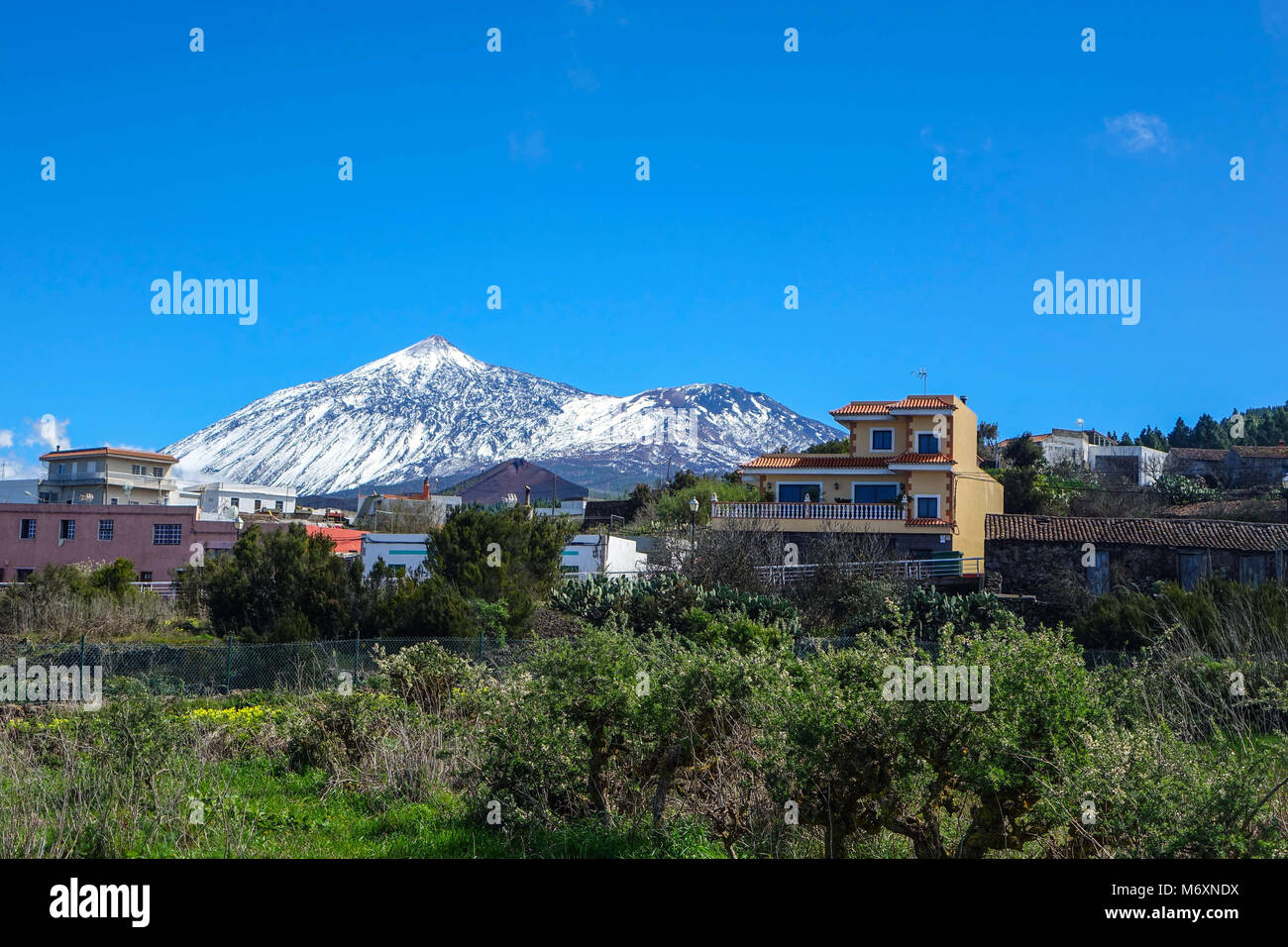 Schneebedeckten Berg El Tiede, erhebt sich über Icod de los Vinos, Teneriffa, Kanarische Inseln, Spanien Stockfoto