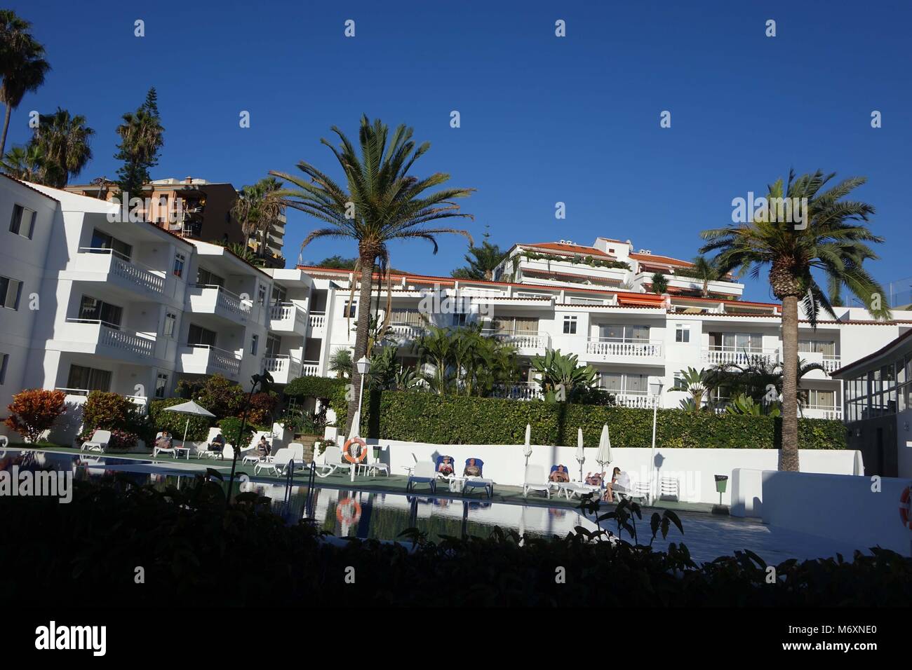Route Aktiv Hotel mit Schwimmbad und Reflexionen und Palmen, Realejos, Teneriffa Stockfoto