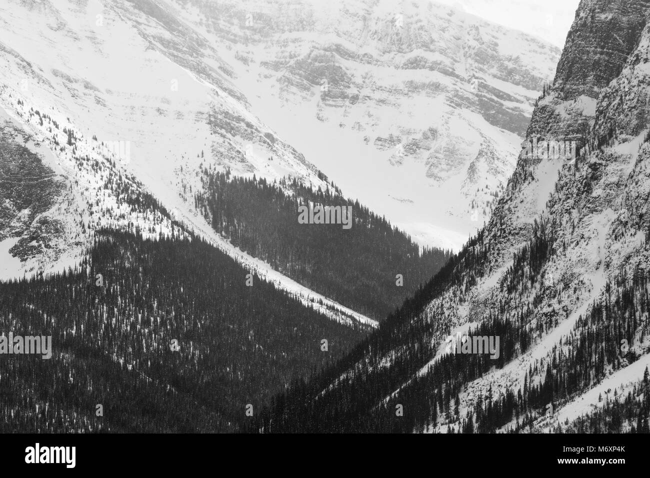 Schwarze und weiße Winterlandschaft von bewaldeten Berghängen in den kanadischen Rockies, Jasper National Park, Kanada Stockfoto