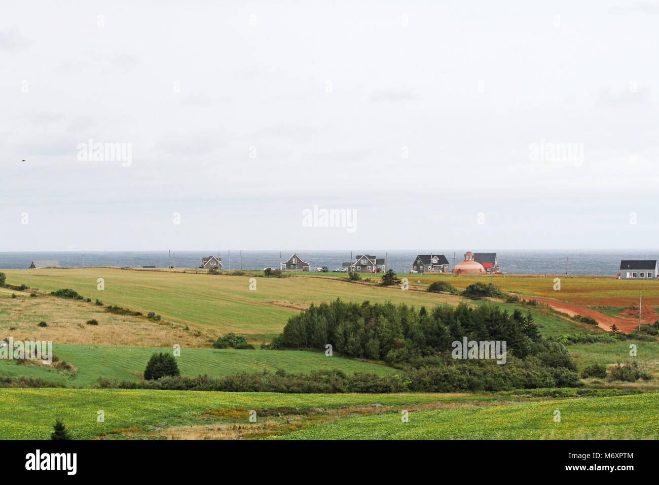 Herrliche Aussicht auf die sanften Hügel und das Meer im Hintergrund von PEI Stockfoto