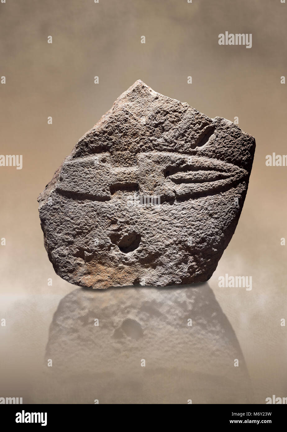 Fragmant eines späten Europäischen Jungsteinzeit prähistorischen Menhir Standing Stone mit dem Schnitzen eines Messers auf seinem Gesicht. Von Palas de Nuraxi II ausgegraben, Stockfoto