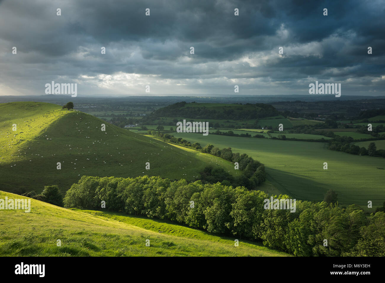 Corton Denham, South Somerset, England, Großbritannien Stockfoto
