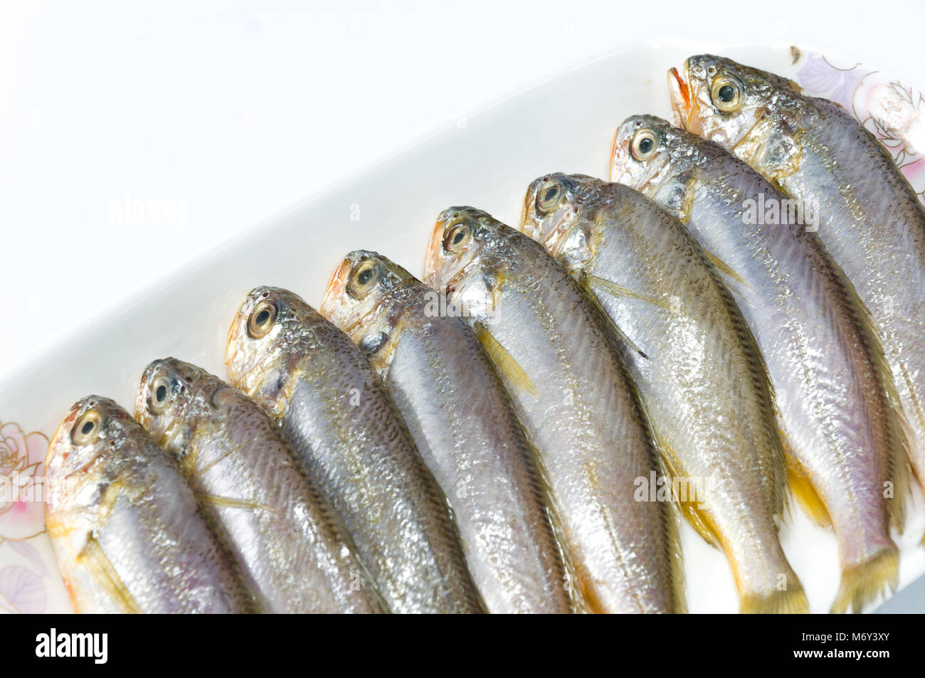 Stück schwimmen Kreatur Meer Gill Stockfoto