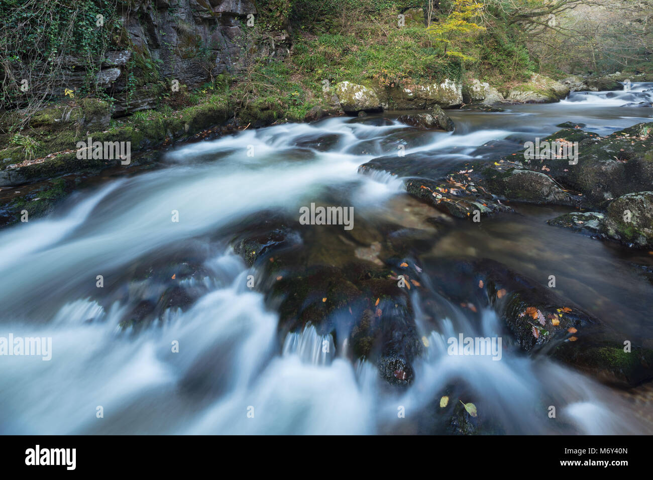 Osten Lyn Fluss fließt durch den Barton Holz, Exmoor, Devon, England, Großbritannien Stockfoto