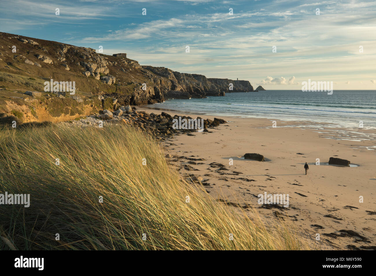 Wendy auf Anse de Pen Hat, Pointe de Pen-Hir, Halbinsel Crozon, Bretagne, Frankreich Stockfoto