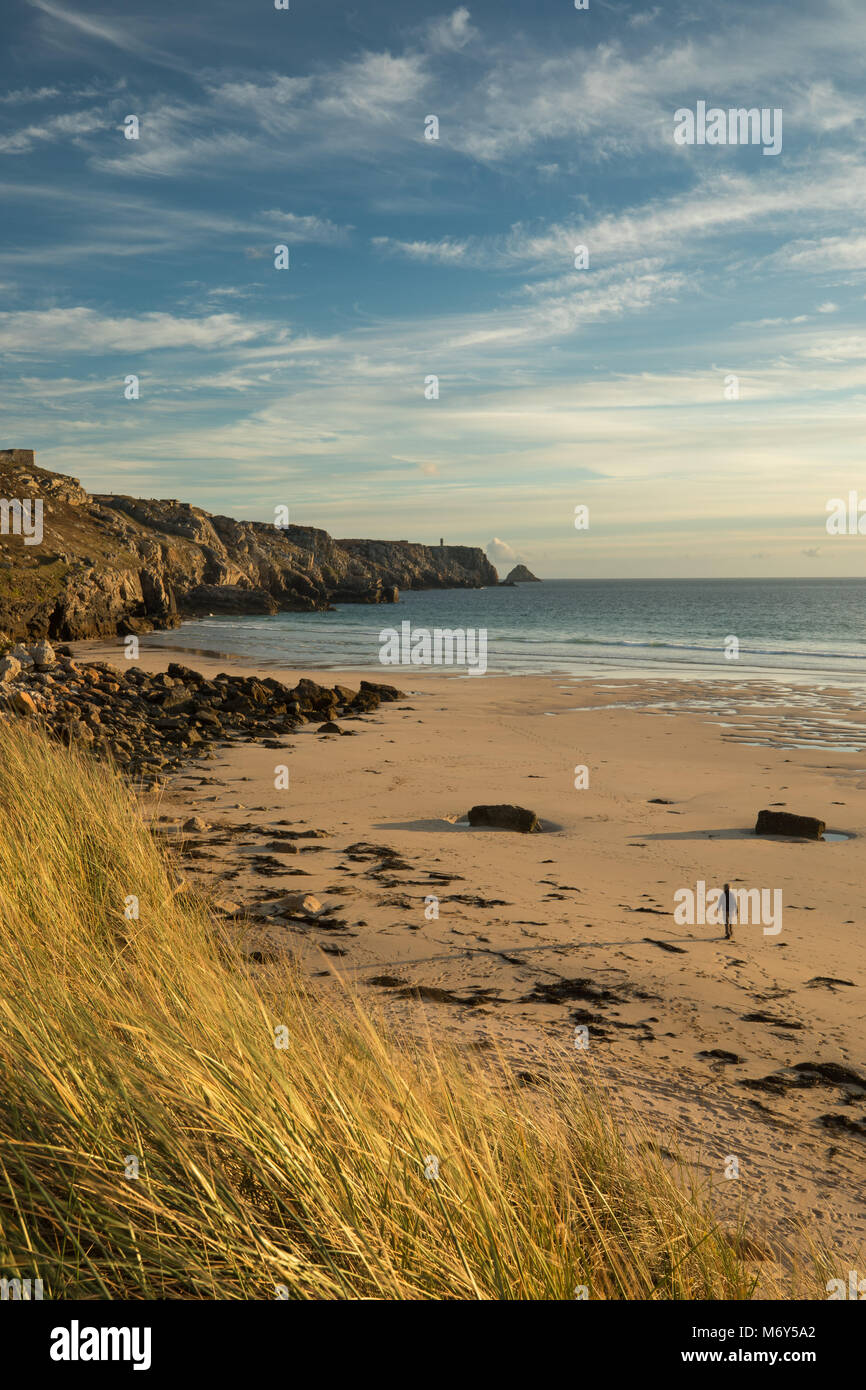 Wendy auf Anse de Pen Hat, Pointe de Pen-Hir, Halbinsel Crozon, Bretagne, Frankreich Stockfoto