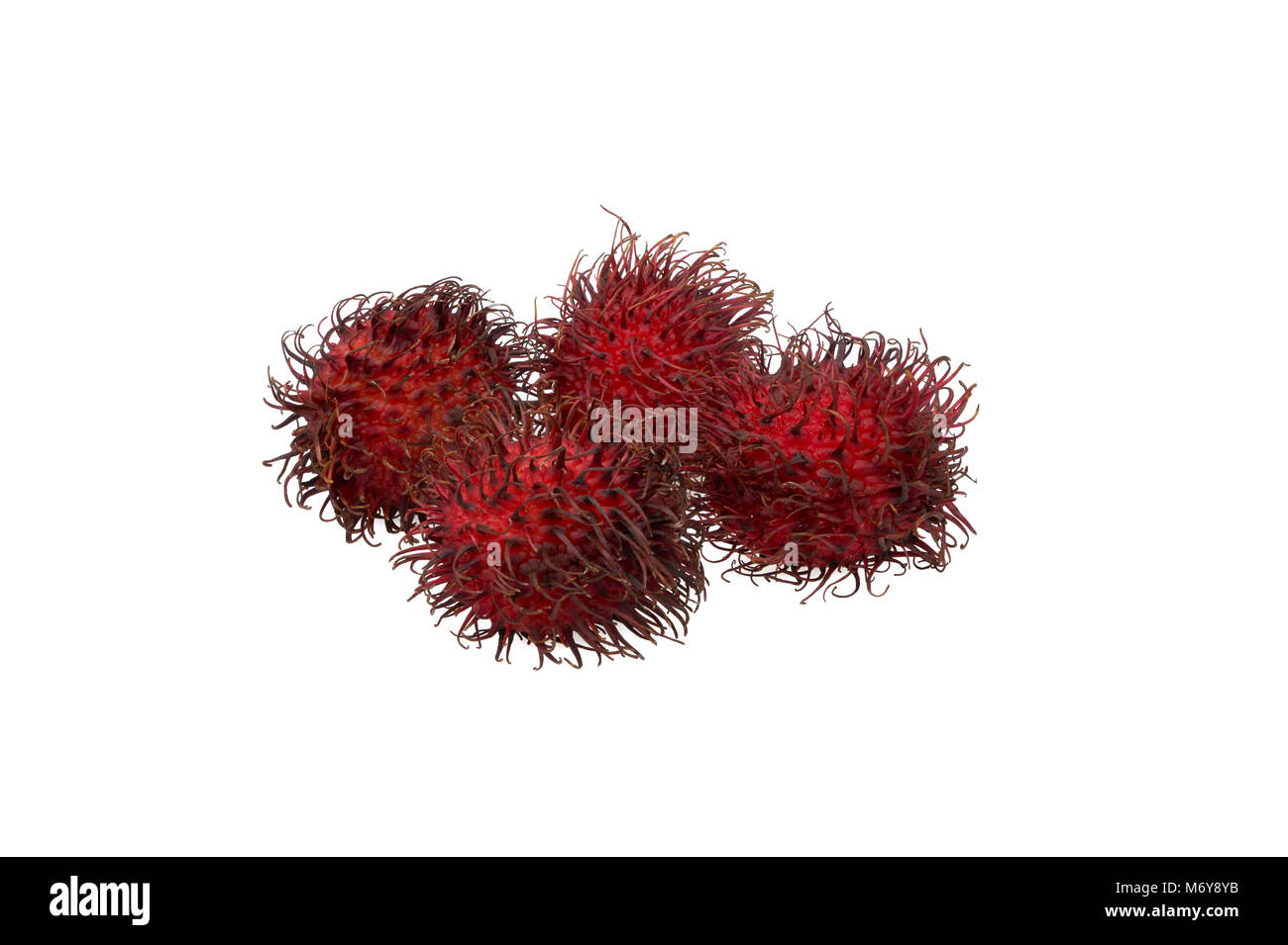 Frische Rambutan köstliche Frucht Stockfoto