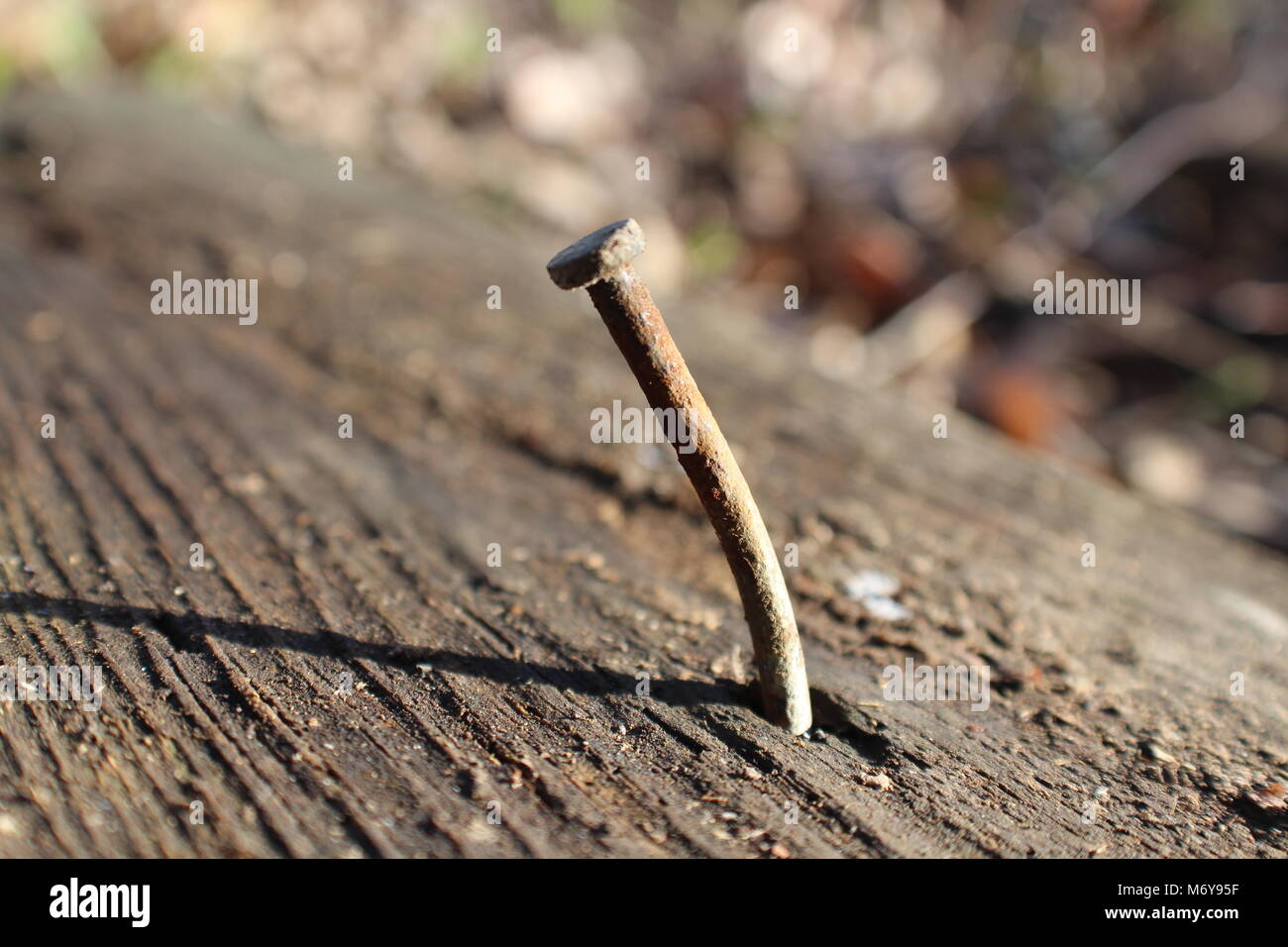 Ein rostiger Nagel teilweise in einer verwitterten Board angetrieben Stockfoto