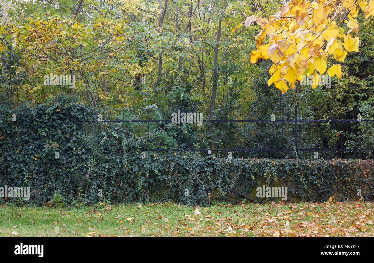 Blick auf einen Garten im Herbst Stockfoto