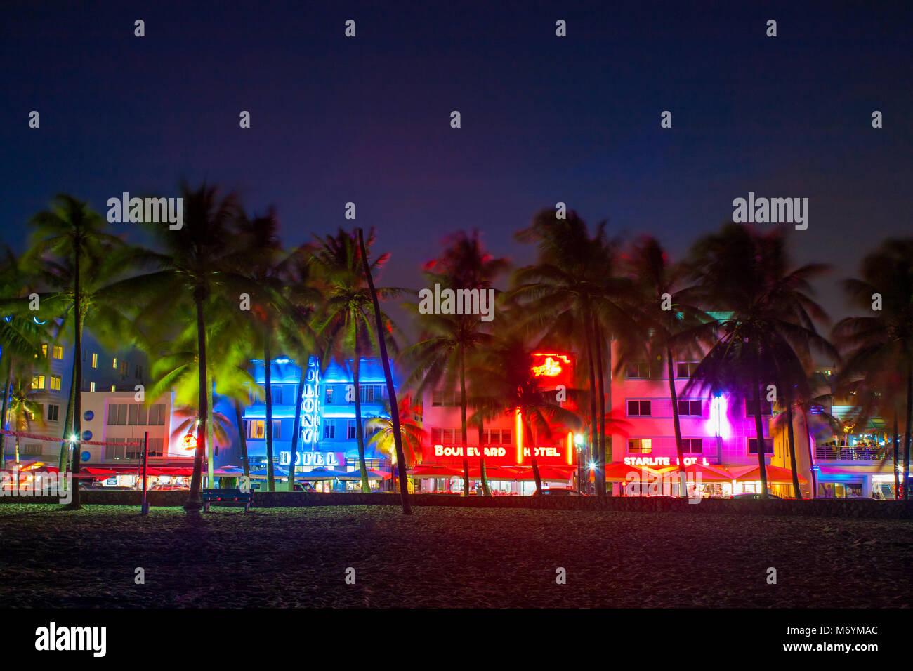 Ocean Drive in Miami in der Nacht mit lebhaften Straße Farben. Palmen und Hotels im Hintergrund. Blick von South Beach. Stockfoto