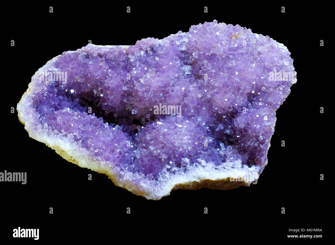 Reine Amethyst Crystal Cluster auf schwarzem Hintergrund. Dies ist ein riesiges Exemplar aus einem Mineral Museum. Stockfoto