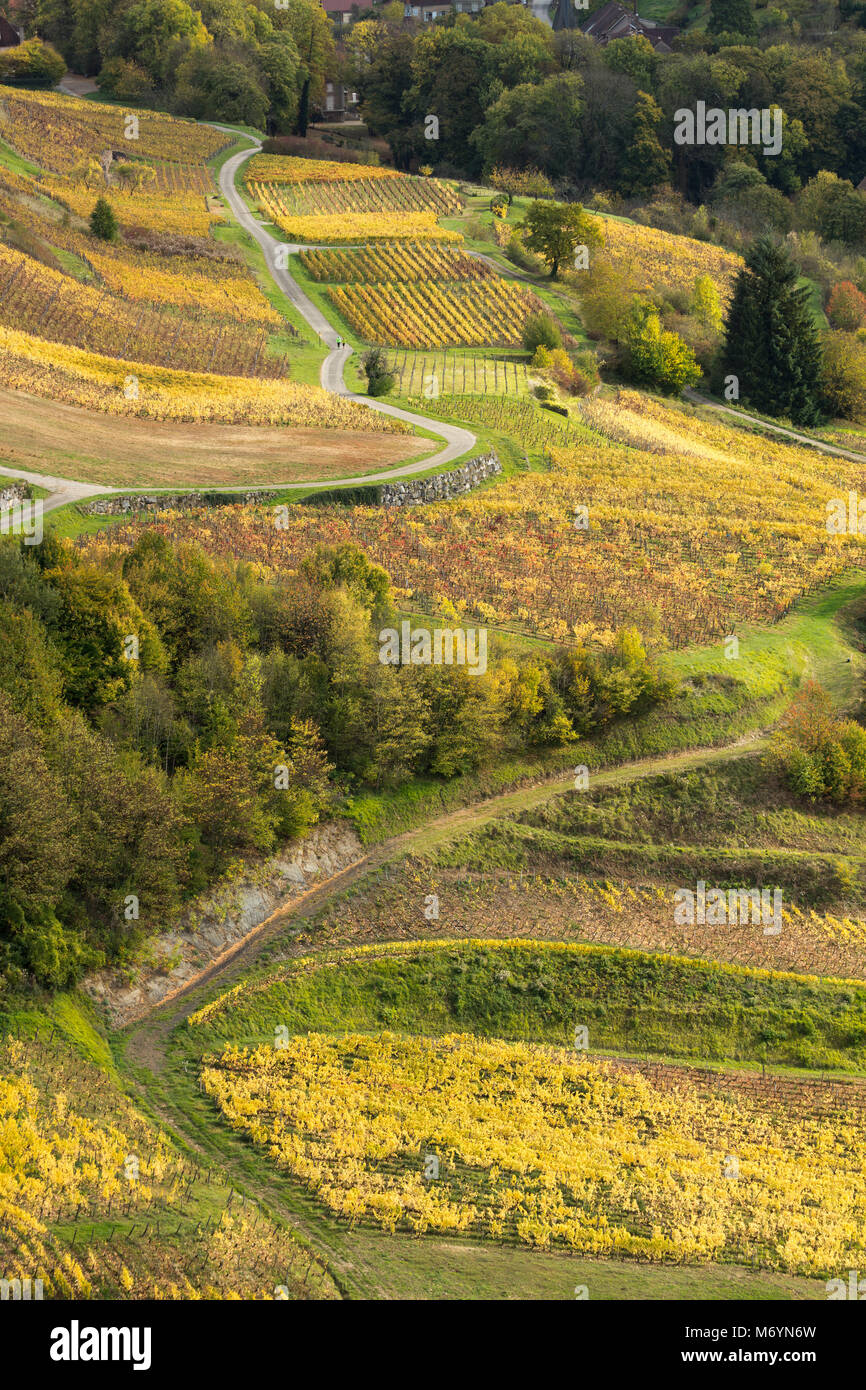 Die Weinberge rund um Château-Chalon, Jura, Franche-Comté, Frankreich Stockfoto