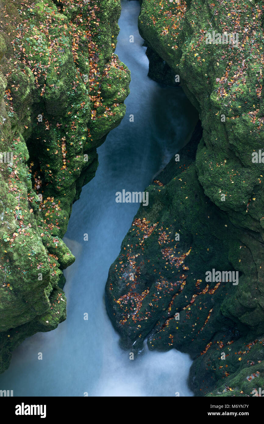 Herbstfarben in der pertes de l'Ain, Jura, Franche-Comté, Frankreich Stockfoto