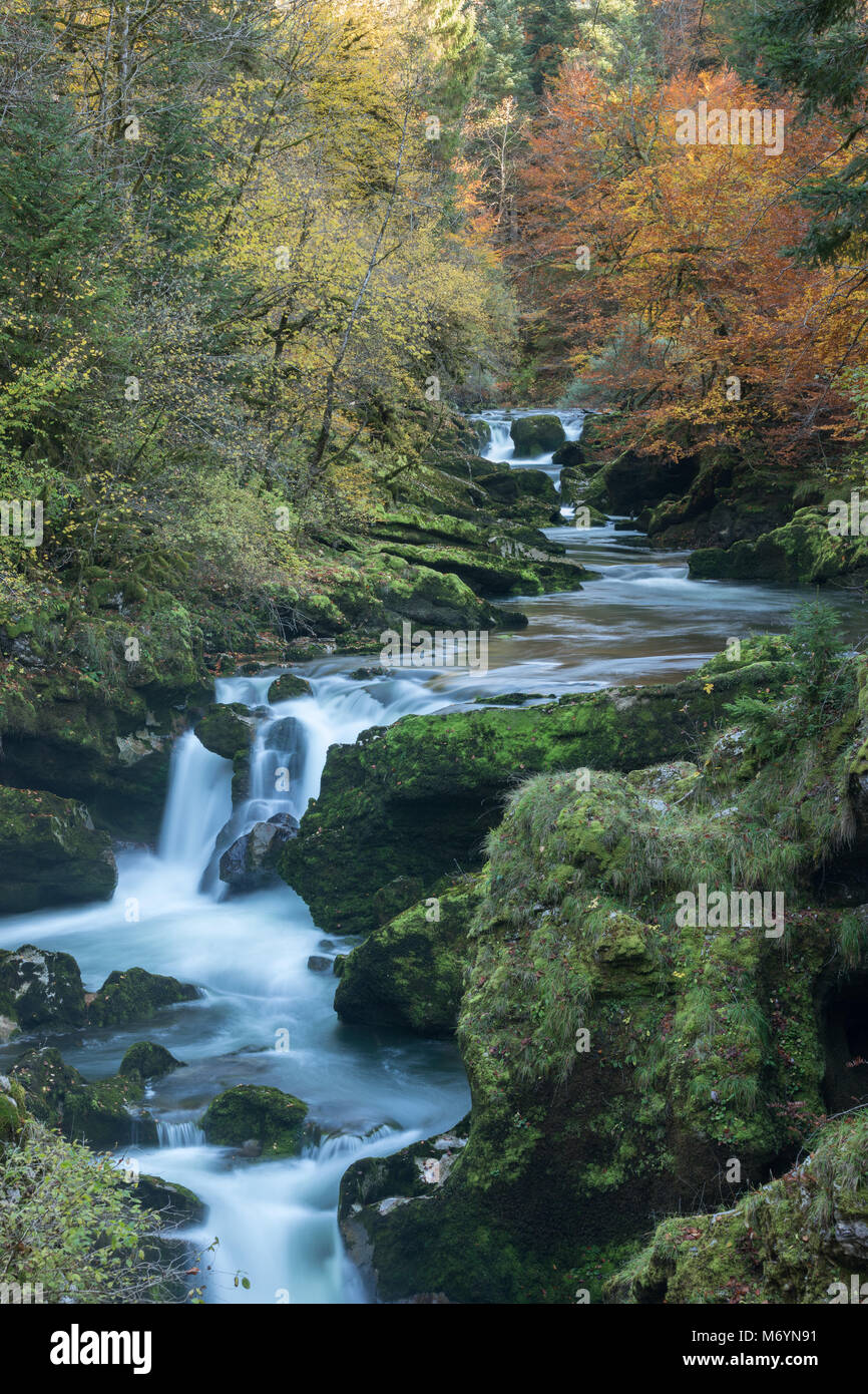 Herbstfarben in der pertes de l'Ain, Jura, Franche-Comté, Frankreich Stockfoto