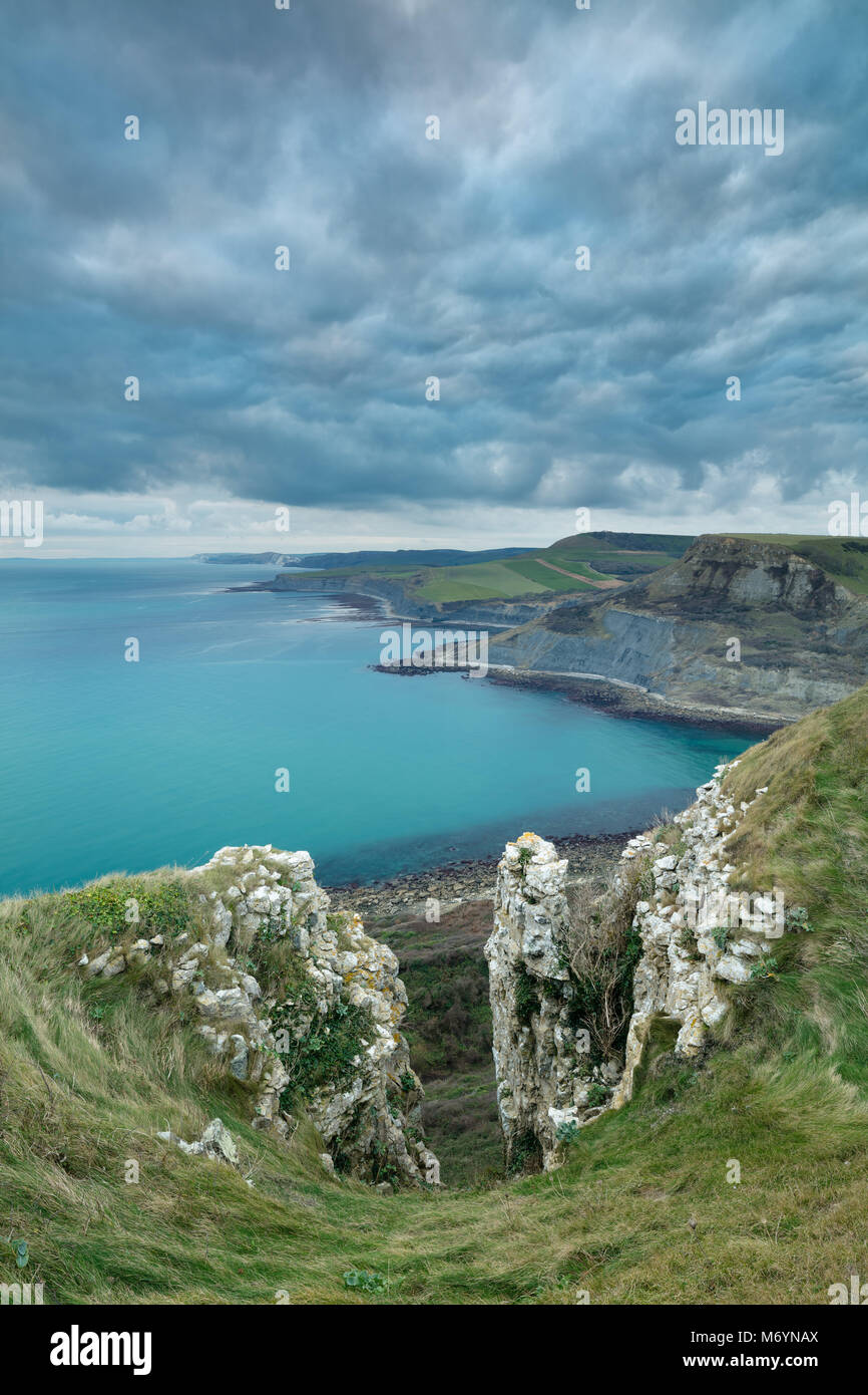 Kimmeridge Simsen und der Jurassic Coast von St aldhelm's Kopf, Dorset, England, Großbritannien Stockfoto