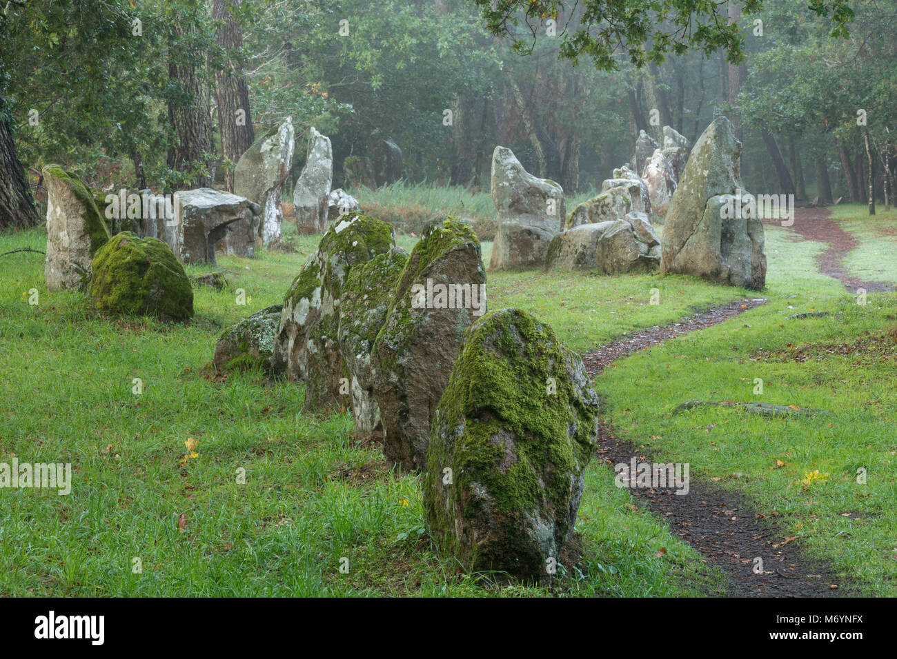 Die megalithischen Menhire der Alignements de Petit-Menec im nebligen Wald in der Dämmerung, Carnac, Morbihan, Bretagne, Frankreich Stockfoto