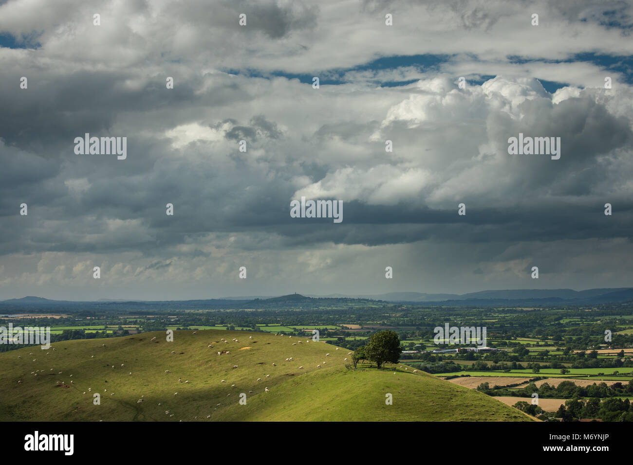 Parrock Hill & Glastonbury Tor von Corton Denham Beacon, Dorset, England, Großbritannien Stockfoto