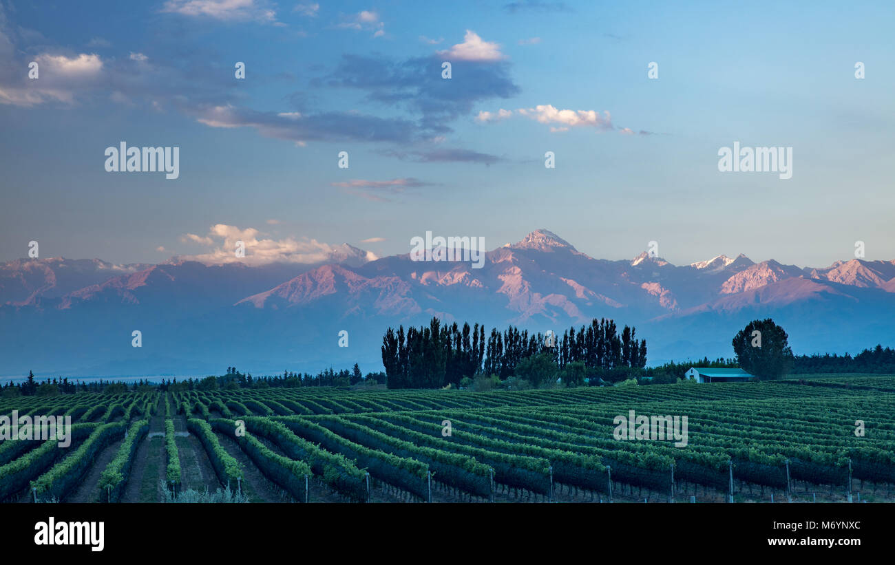 Die Anden von den Weinbergen der Uco Tal nr Tupungato, Mendoza, Provinz, Argentinien Stockfoto