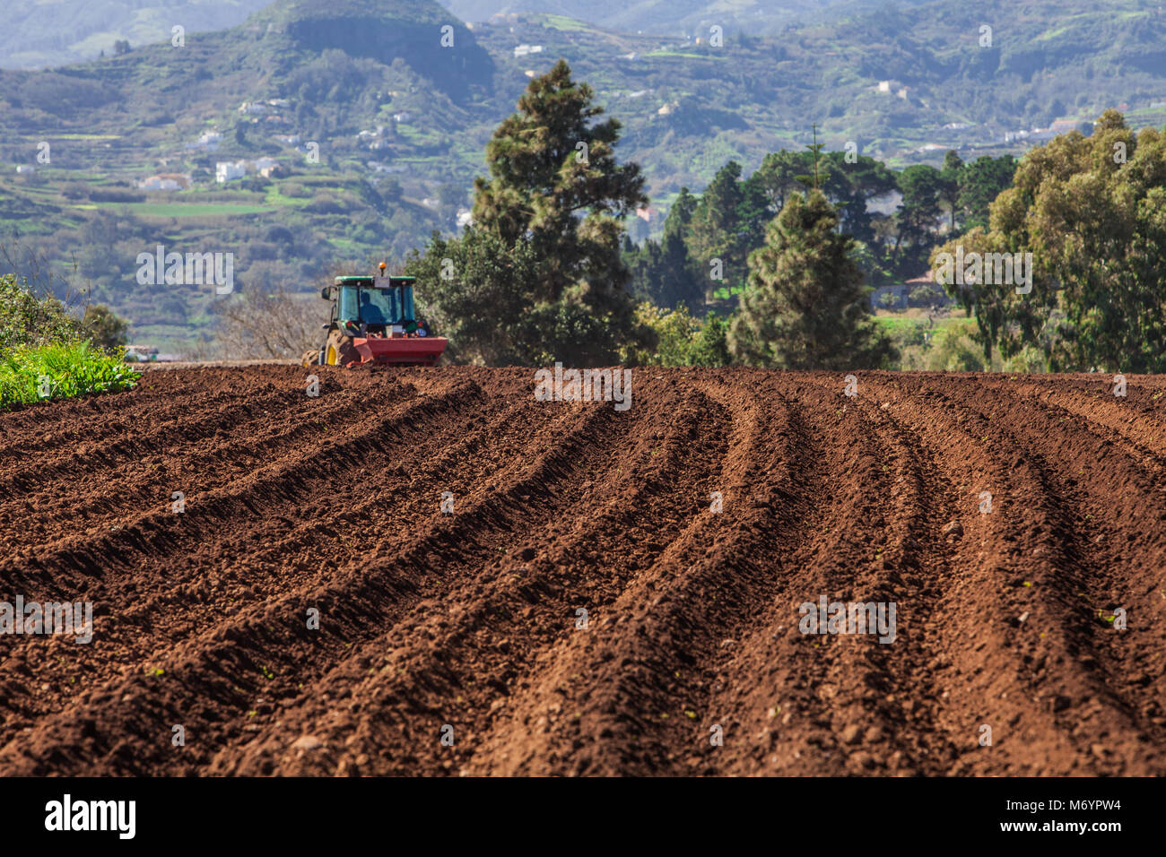 Den Boden bereiten mit einem Traktor für den Kartoffelanbau in Feld Stockfoto