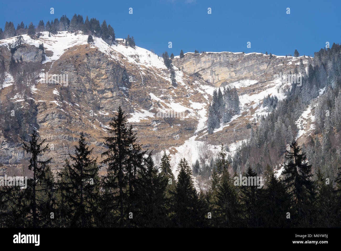 Schönen Verschneiten Kiefernwald und hängen neben der wunderschönen Lac de in der Nähe von Morzine Montriond Haute Savoie Portes du Soleil Frankreich Stockfoto