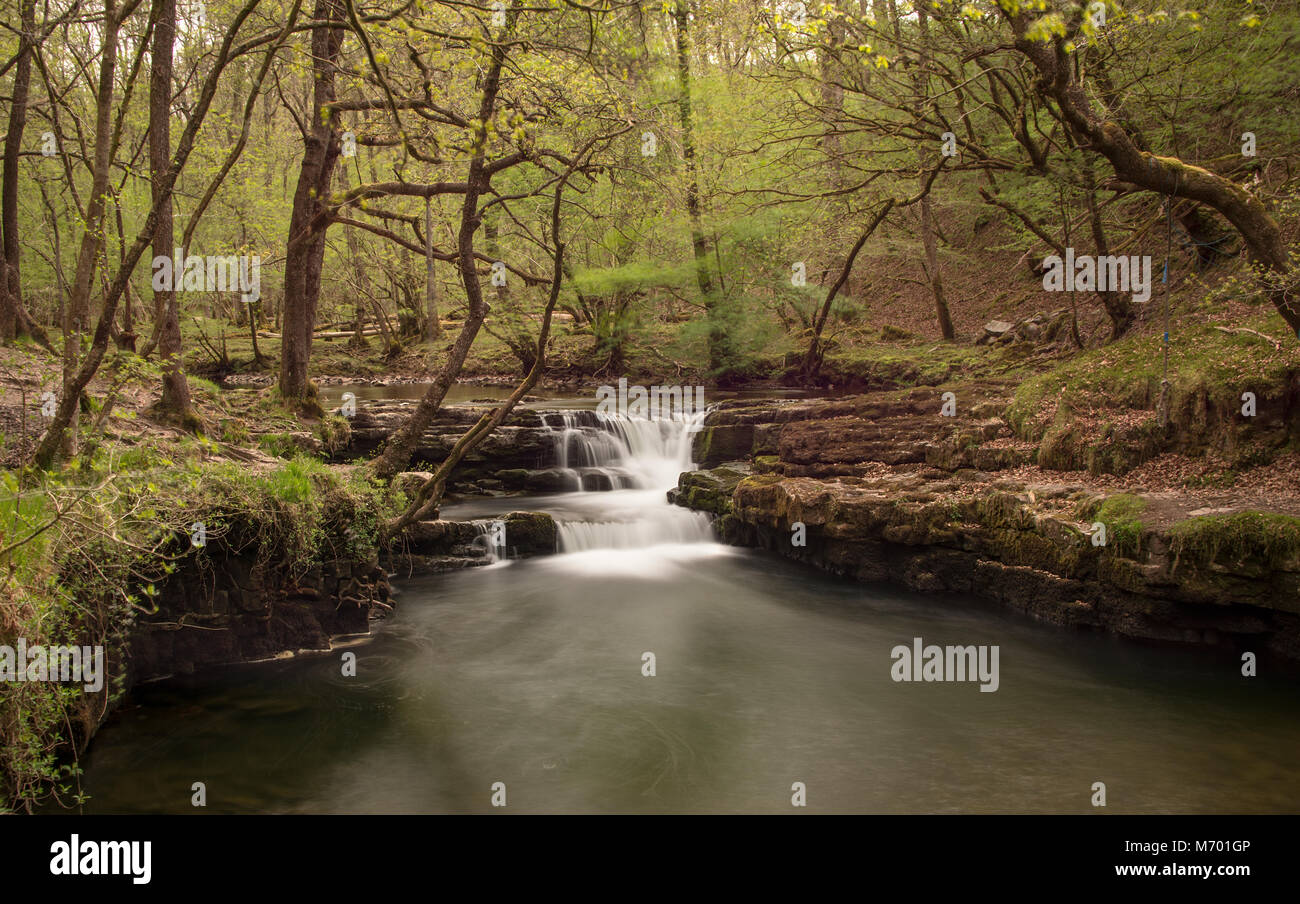 Wasserfall bei Ystradfelte Brecon Beacons Wales Stockfoto