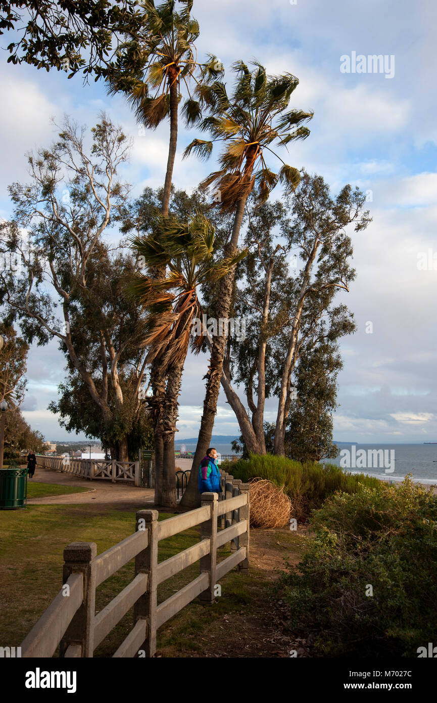Palisades Park in Santa Monica an einem windigen Tag mit Blick auf den Pazifischen Ozean Stockfoto
