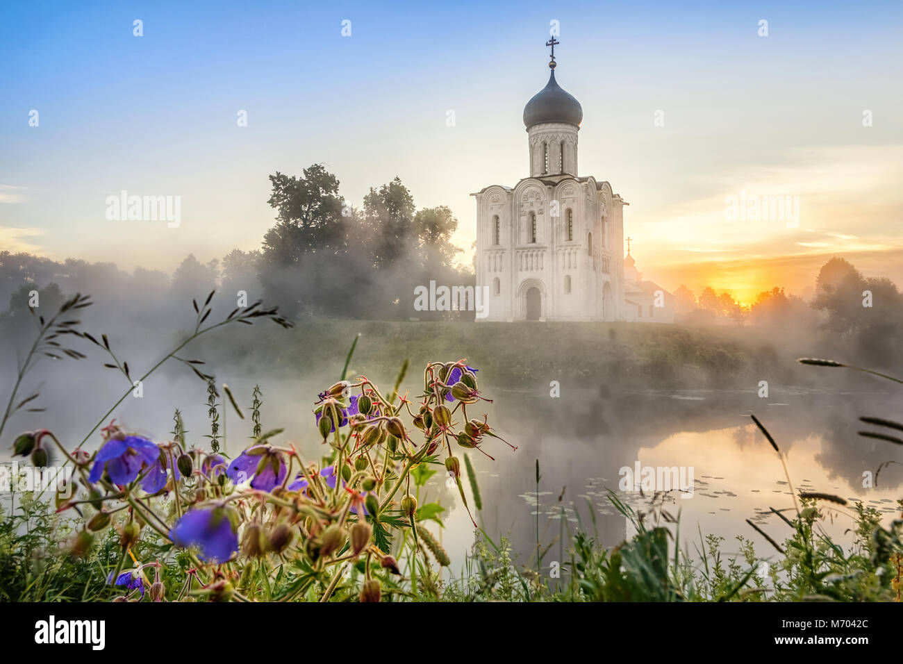 Kirche der Fürsprache an der Nerl mit Wiese und Blumen auf den Vordergrund Bogolyubovo, Wladimirskaja oblast, Russland Stockfoto