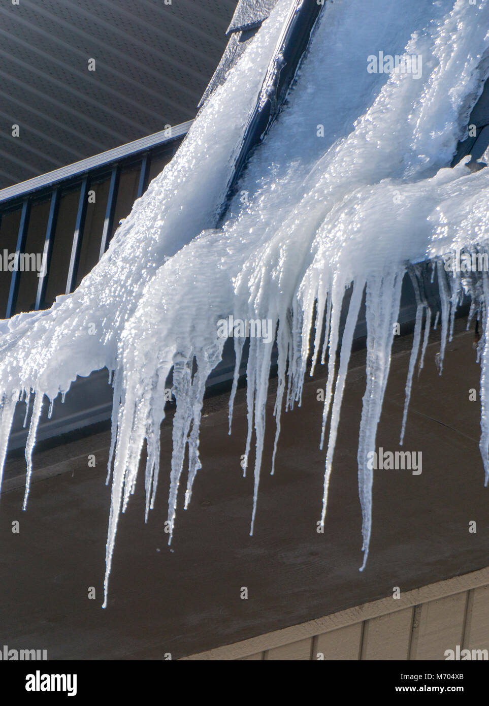 Eiszapfen Calgary Albera Kanada Stockfoto