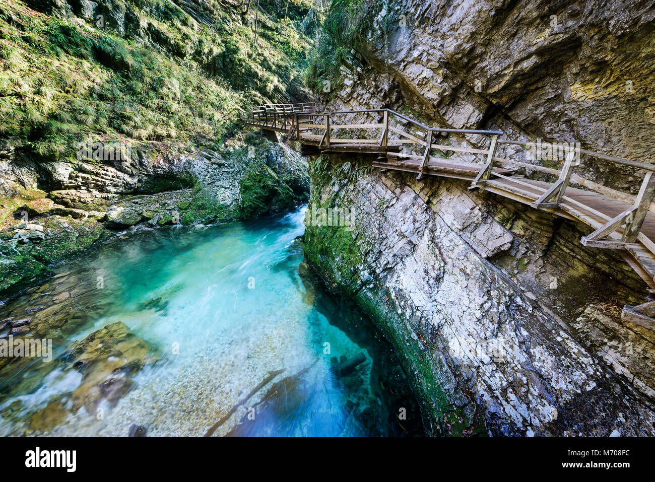 Berühmte Vintgar Wasserfall, Fluss und Canyon, in der Nähe von Bled in Slowenien Stockfoto