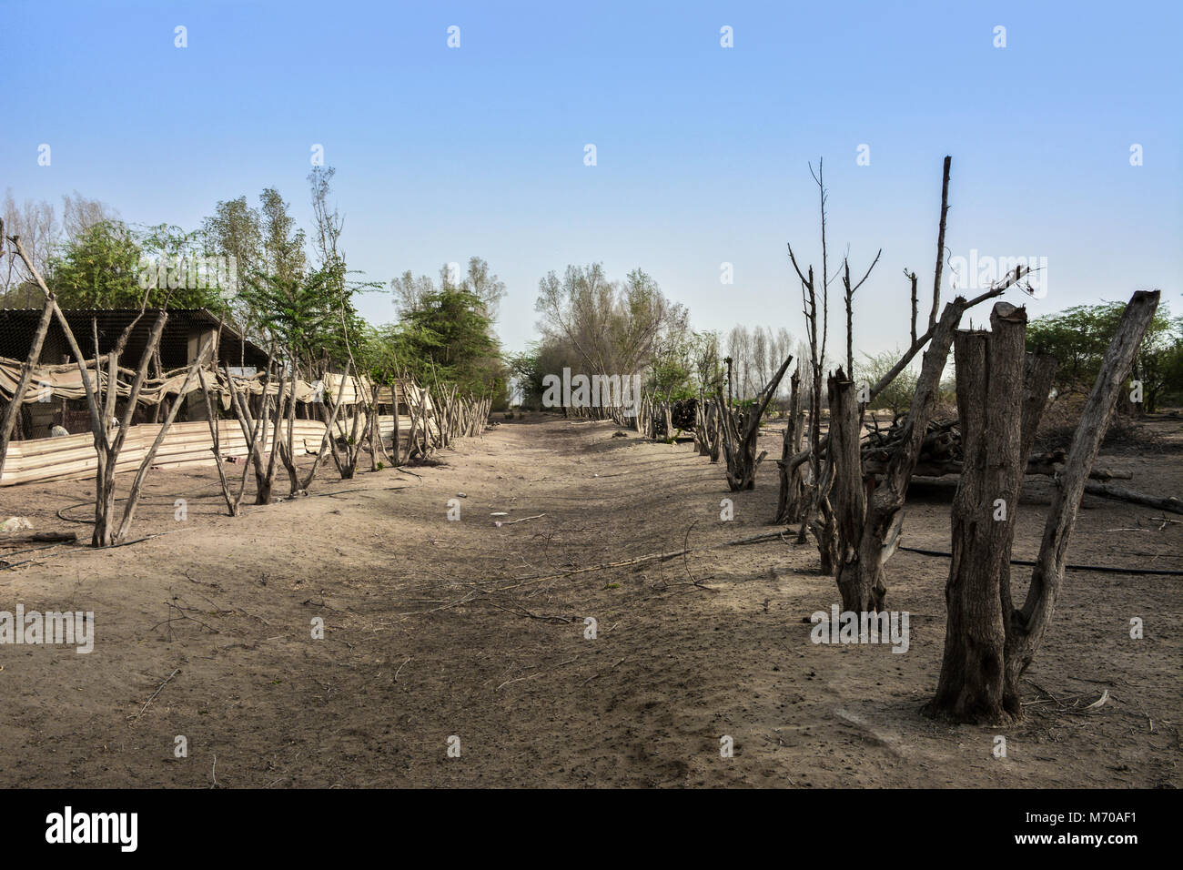 Landschaft weg mit natürlichem Holz Zaun Stockfoto