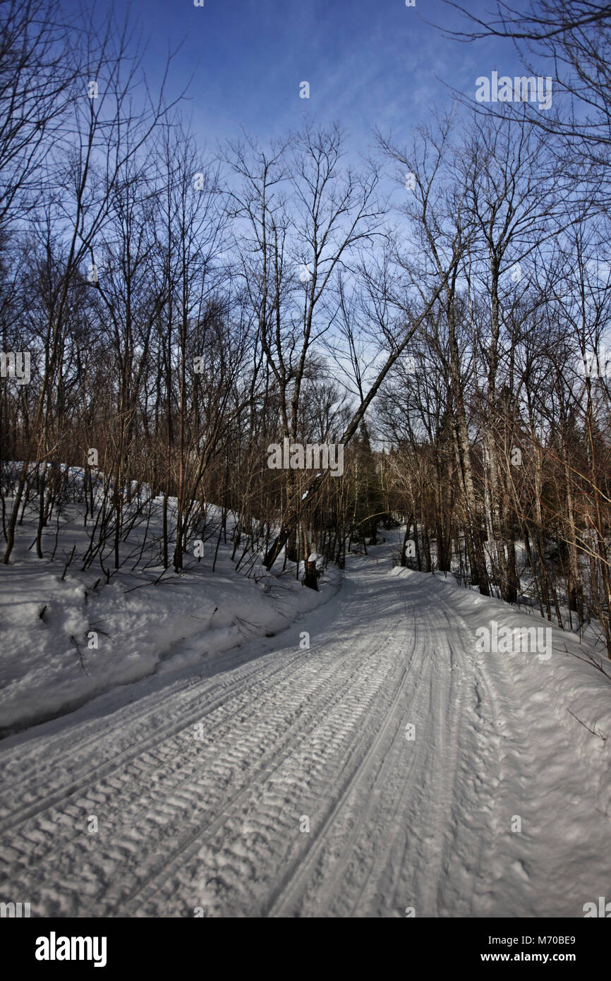 Schneemobil-trail in einem Wald im Winter in der Provinz Quebec in HDR. Stockfoto