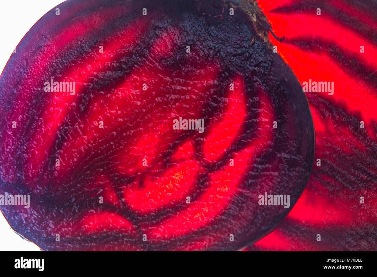 Frische rote Bete Scheiben durchsichtig Essen Makro auf beleuchteten Hintergrund Stockfoto
