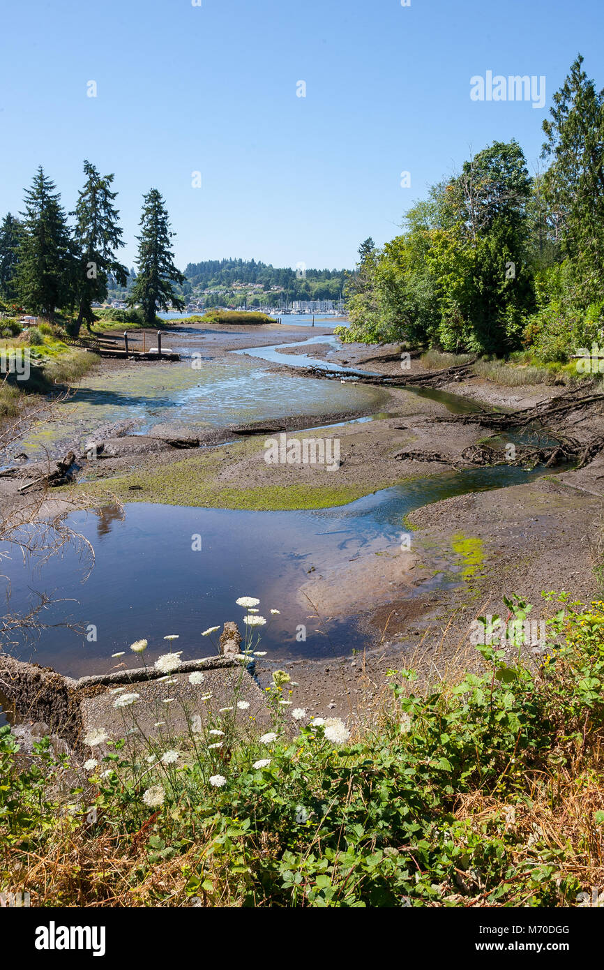 Gig Harbor WA von Crescent Creek bei Ebbe. Stockfoto