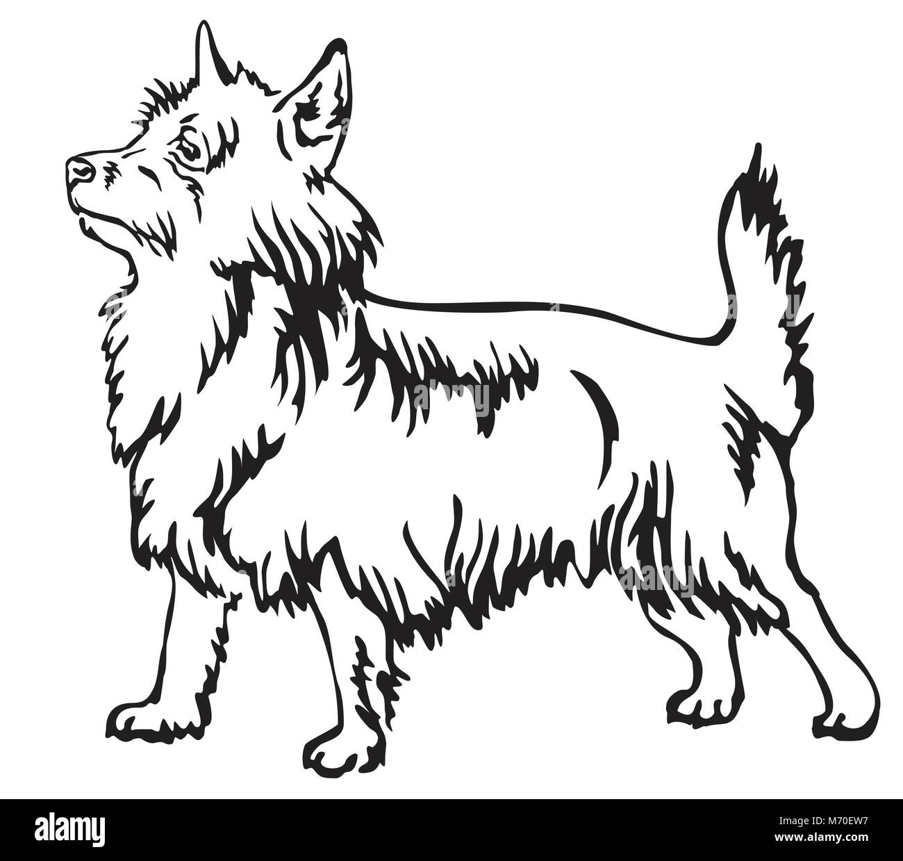 Dekorative Portrait von ständigen im Profil Australian Terrier, Vektor isoliert Abbildung in schwarz auf weißem Hintergrund Stock Vektor