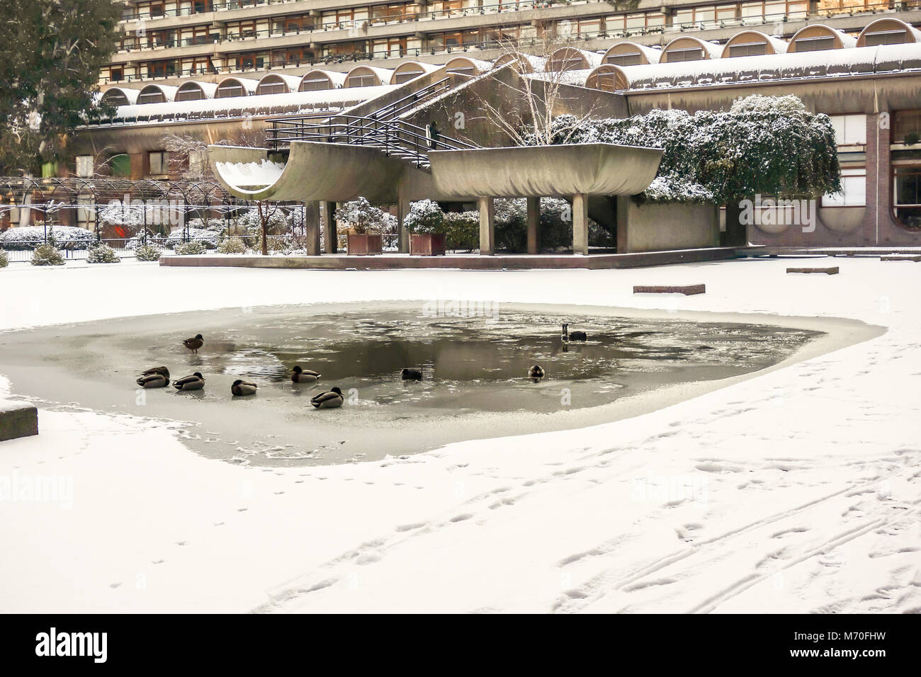 LONDON, GROSSBRITANNIEN, 28. Feb 2018: Enten auf dem zugefrorenen See in der Barbican während der Sturm Emma gestrandet. Stockfoto
