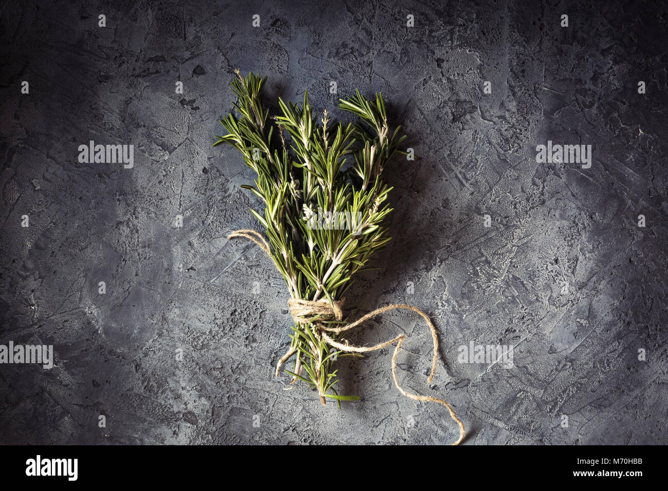 Zweig Bündel frischem Rosmarin Food Konzept Gras Getreide Gewürze Ernte Kräuter für Medizin und Kochen auf grauem Hintergrund Taste dunkel Low Key Stockfoto