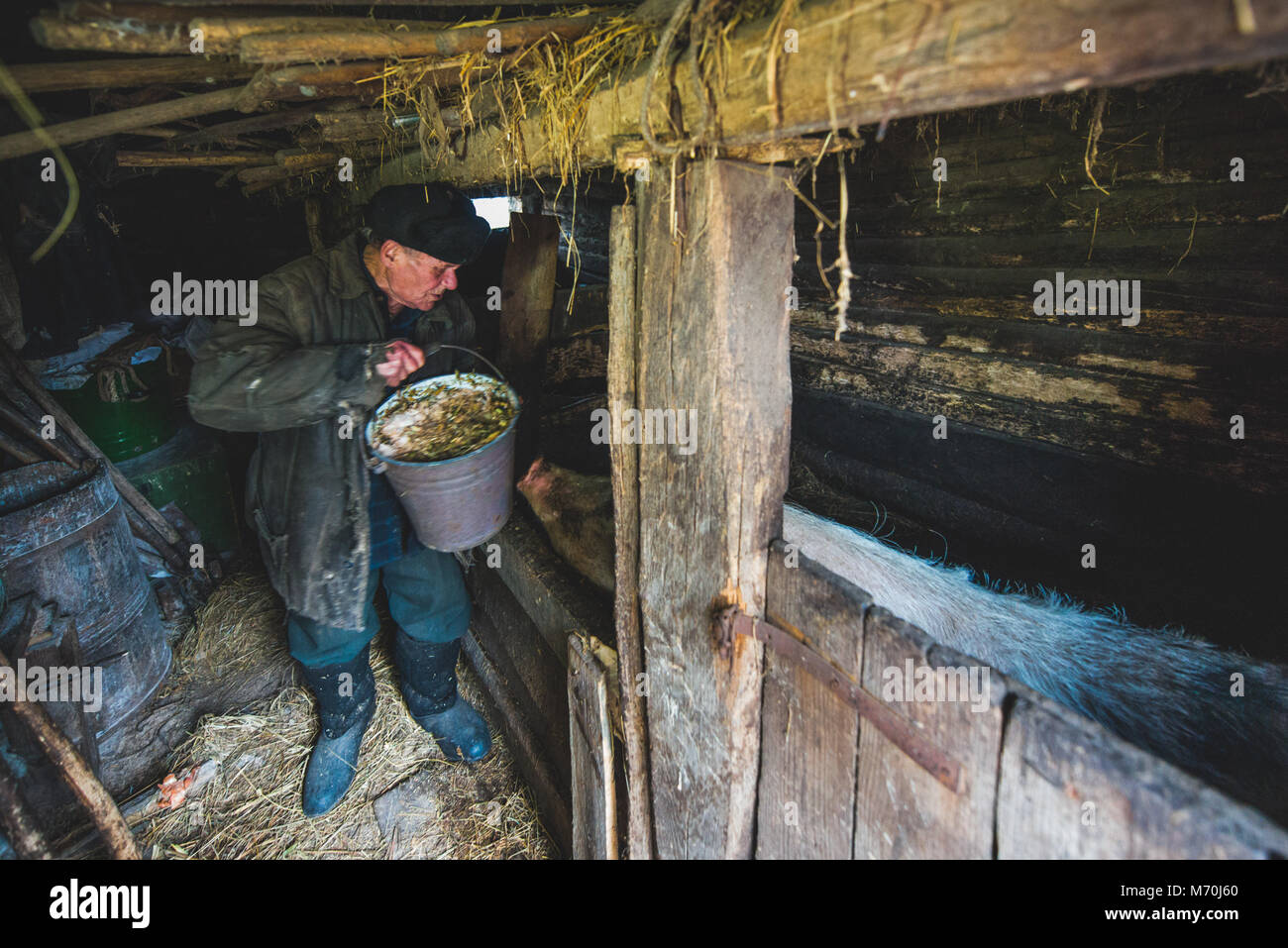 Ukraine, Tschernobyl Sperrzone: Menschen, die wieder in die Sperrzone