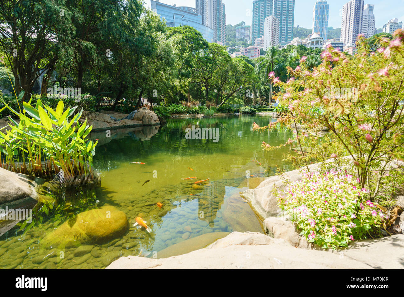 Hong Kong Park, Central, Hong Kong Stockfoto