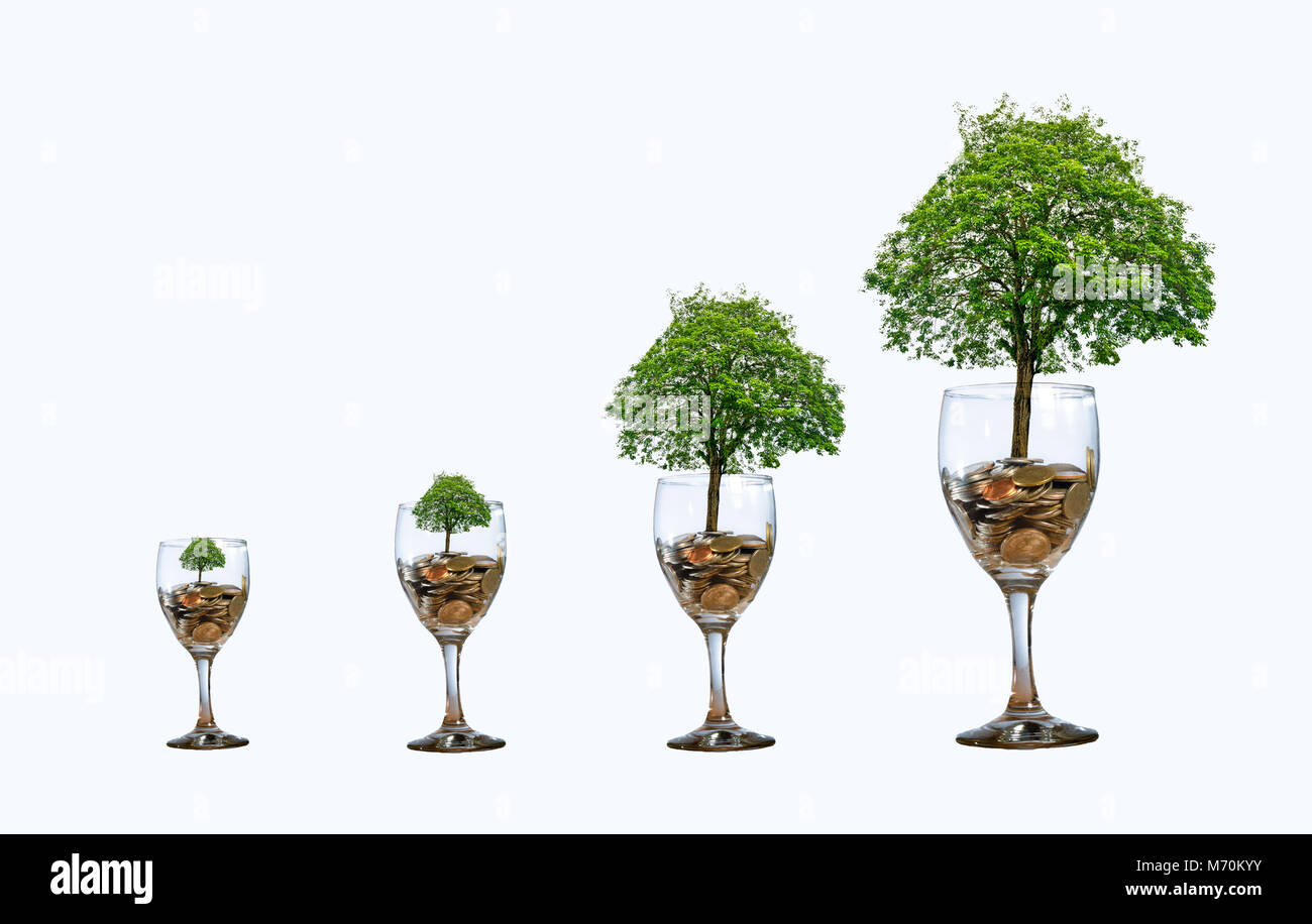 Baum Münze Glas Isolieren erhöhen Geld sparen Hand Münze Baum der Baum wächst auf dem Stapel. Geld sparen für die Zukunft. Investment Ideen und Business Gr Stockfoto