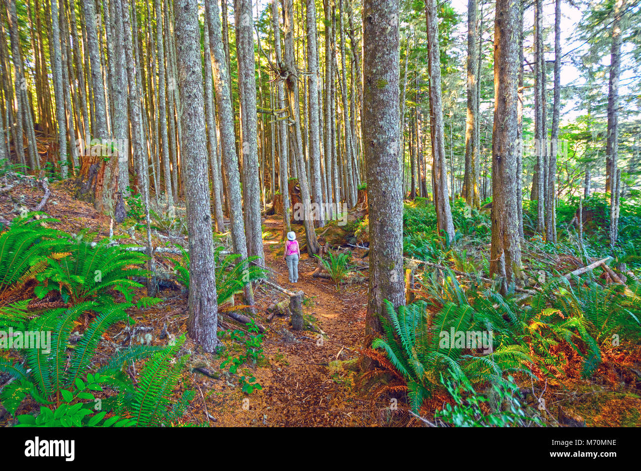 Wanderer auf der Tex-Lyon Trail in Port Hardy, British Columbia. Stockfoto