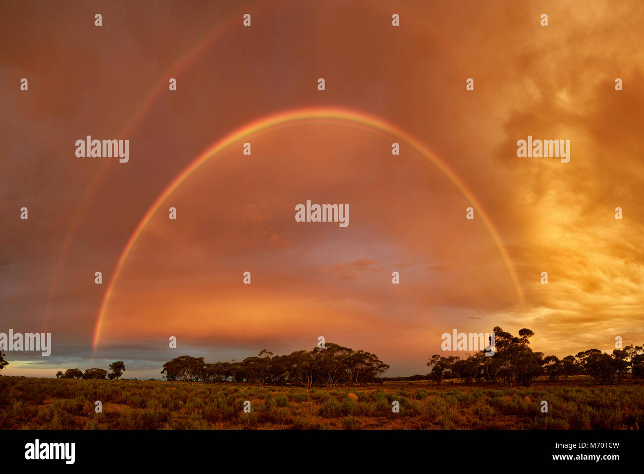 Fast doppelten Regenbogen, am späten Nachmittag, North Western Victoria, Australien. LARF -0138, Rf Stockfoto